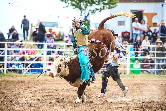 BungendoreRodeo2017_2066