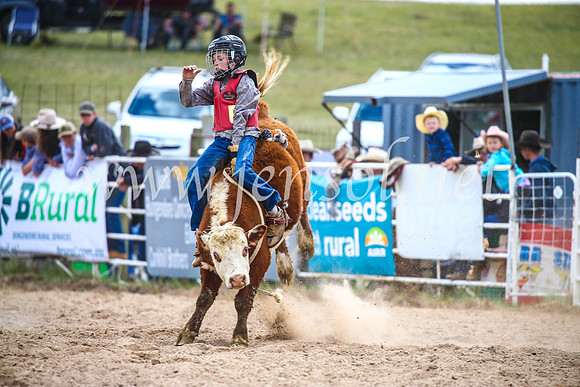 BungendoreRodeo2017_1571