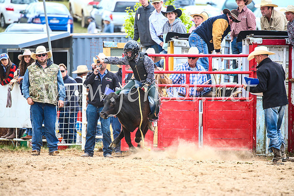 BungendoreRodeo2017_1730