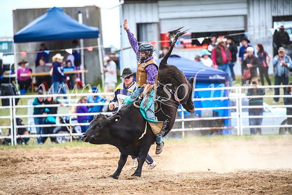 BungendoreRodeo2017_2102