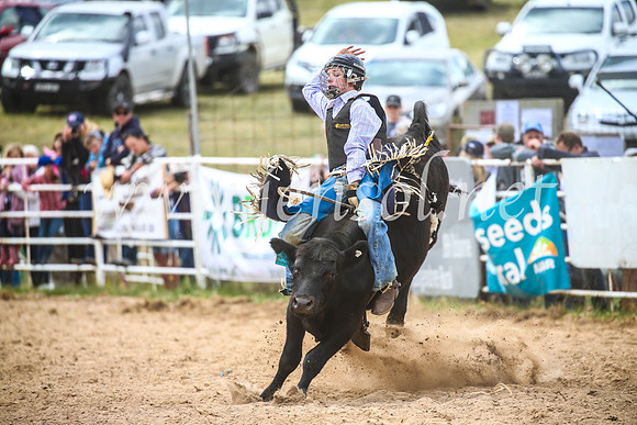 BungendoreRodeo2017_2755