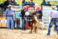 BungendoreRodeo2017_1536