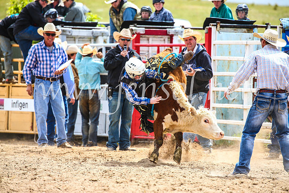 BungendoreRodeo2017_1536