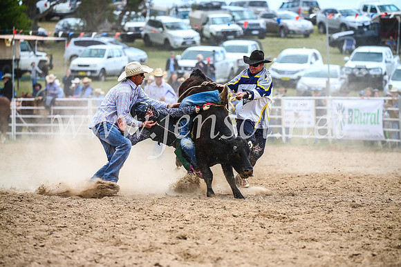BungendoreRodeo2017_1753