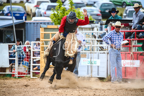 BungendoreRodeo2017_2878