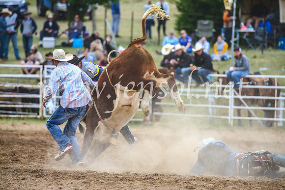 BungendoreRodeo2017_2023