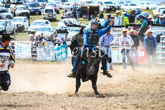 BungendoreRodeo2017_2809