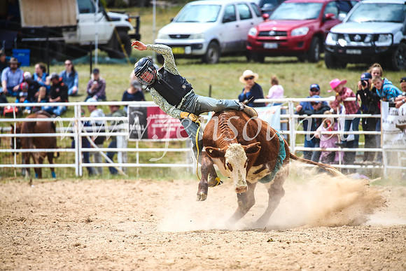 BungendoreRodeo2017_2733