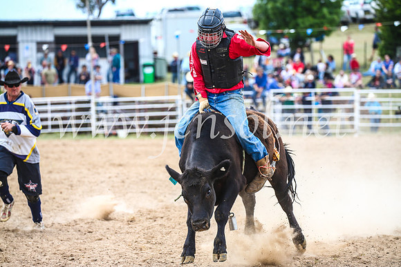 BungendoreRodeo2017_2711