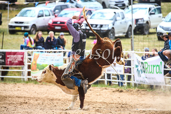 BungendoreRodeo2017_2108