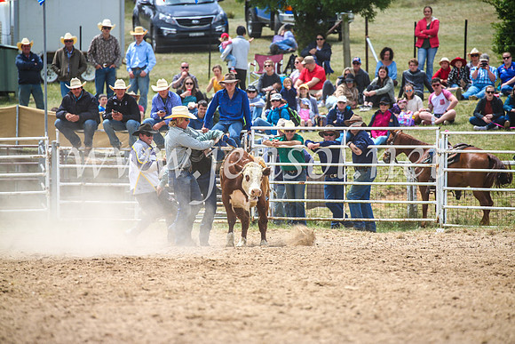 BungendoreRodeo2017_2729