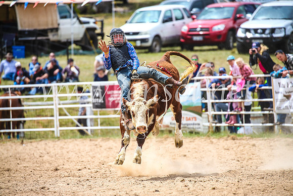 BungendoreRodeo2017_2857