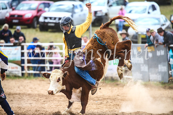 BungendoreRodeo2017_2047