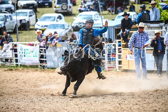 BungendoreRodeo2017_2794