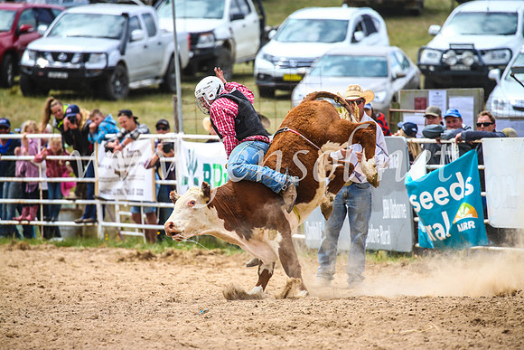 BungendoreRodeo2017_2739
