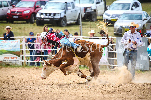 BungendoreRodeo2017_2747