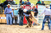 BungendoreRodeo2017_1537