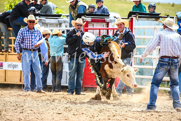 BungendoreRodeo2017_1537