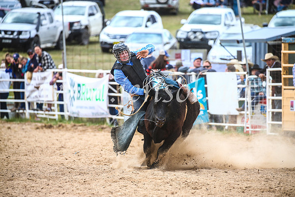 BungendoreRodeo2017_2781