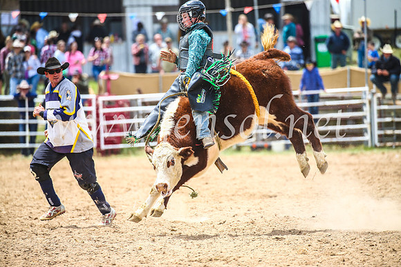 BungendoreRodeo2017_2835