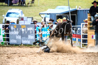 BungendoreRodeo2017_1525