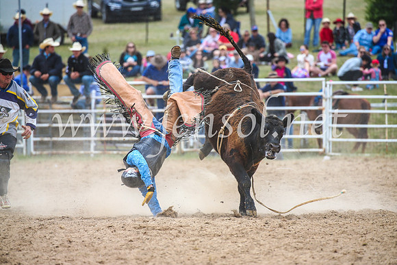 BungendoreRodeo2017_2669