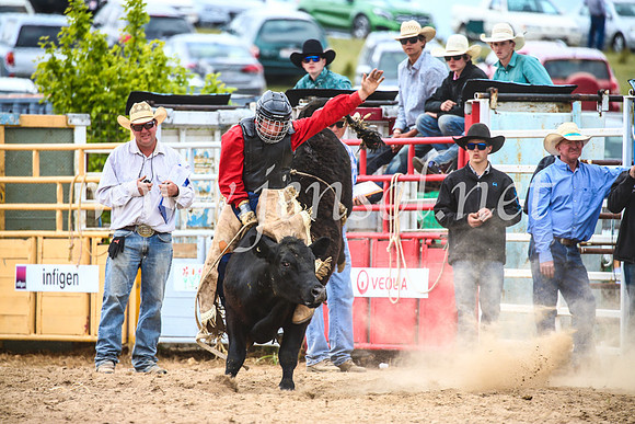 BungendoreRodeo2017_2867