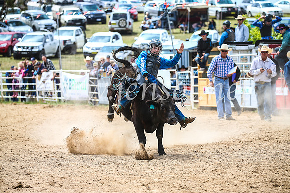 BungendoreRodeo2017_2811