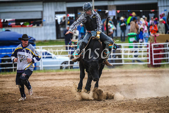 BungendoreRodeo2017_1958