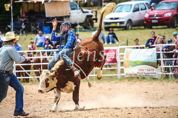 BungendoreRodeo2017_2849