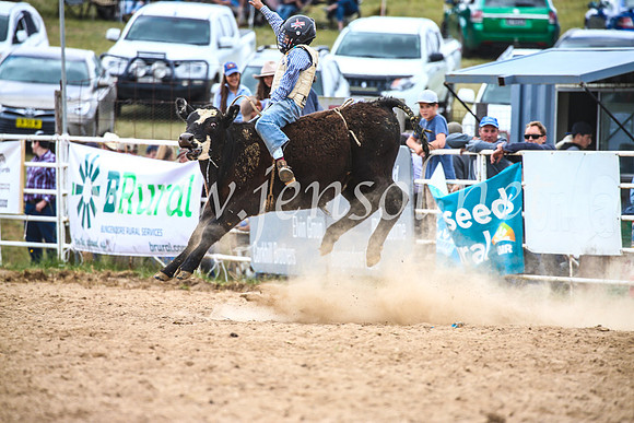 BungendoreRodeo2017_2892