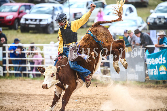 BungendoreRodeo2017_2048