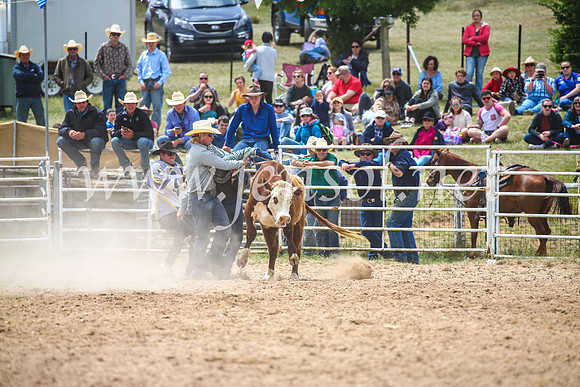 BungendoreRodeo2017_2727
