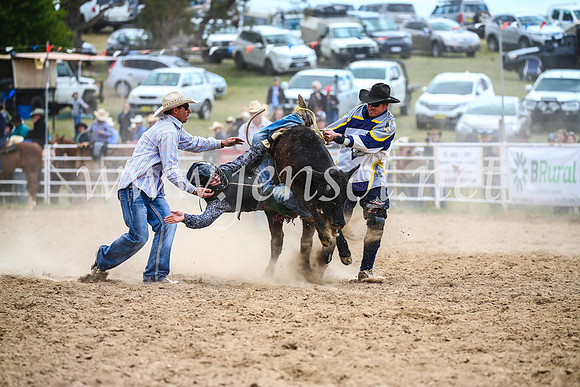 BungendoreRodeo2017_1755