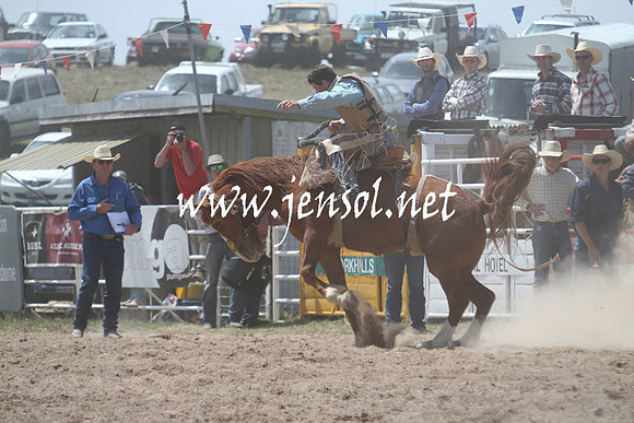 BungendoreRodeo2013_1249