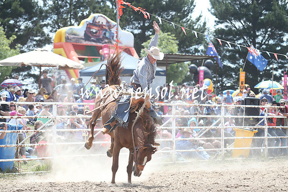BungendoreRodeo2013_1547
