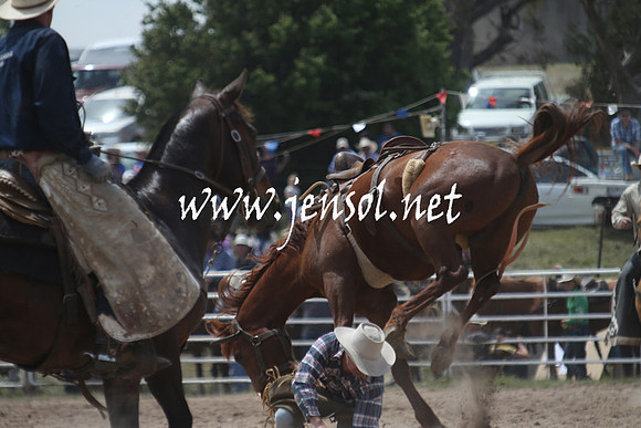 BungendoreRodeo2013_1492