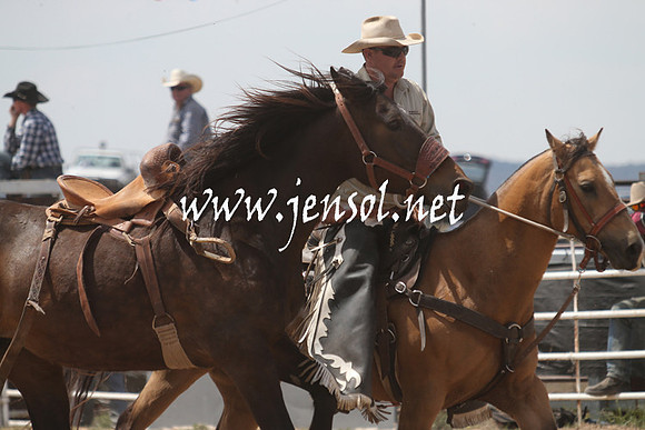 BungendoreRodeo2013_1406