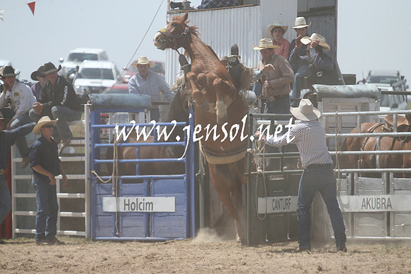 BungendoreRodeo2013_1238