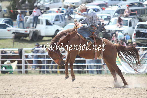 BungendoreRodeo2013_1525