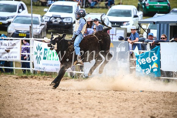 BungendoreRodeo2017_2887