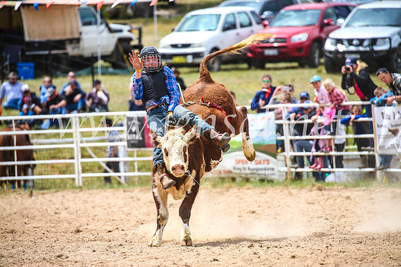 BungendoreRodeo2017_2856