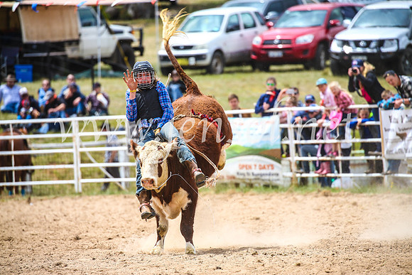 BungendoreRodeo2017_2848