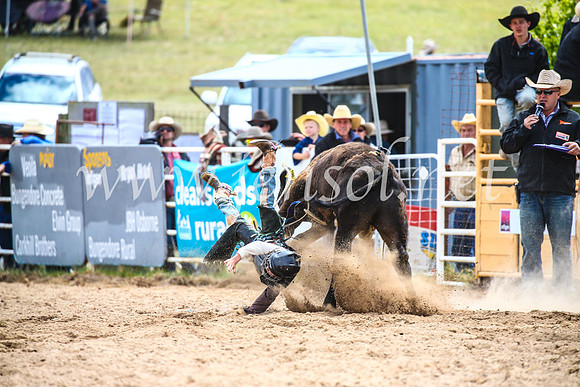 BungendoreRodeo2017_1523