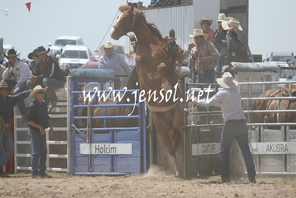 BungendoreRodeo2013_1239