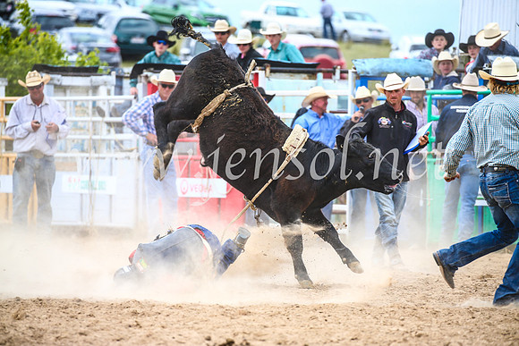 BungendoreRodeo2017_2884
