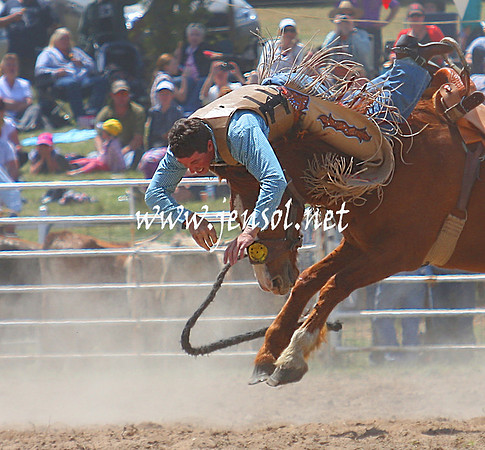 BungendoreRodeo2013_1264