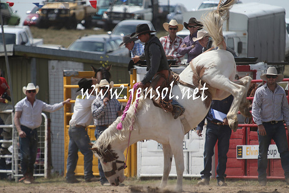 BungendoreRodeo2013_1421