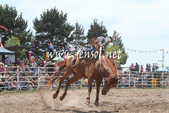 BungendoreRodeo2013_1294