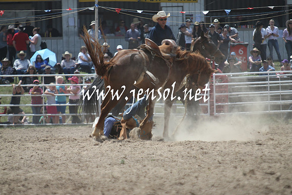 BungendoreRodeo2013_1341